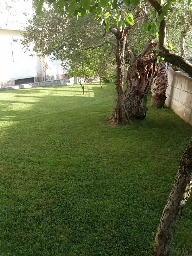 Villa Agata Forchia Ngoại thất bức ảnh