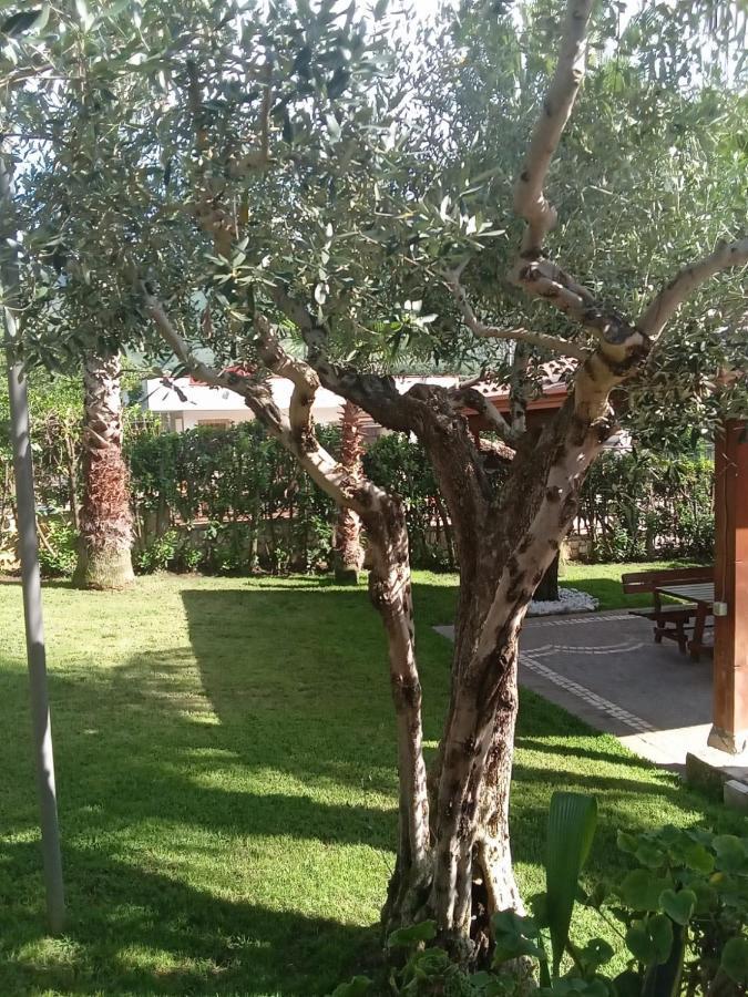 Villa Agata Forchia Ngoại thất bức ảnh