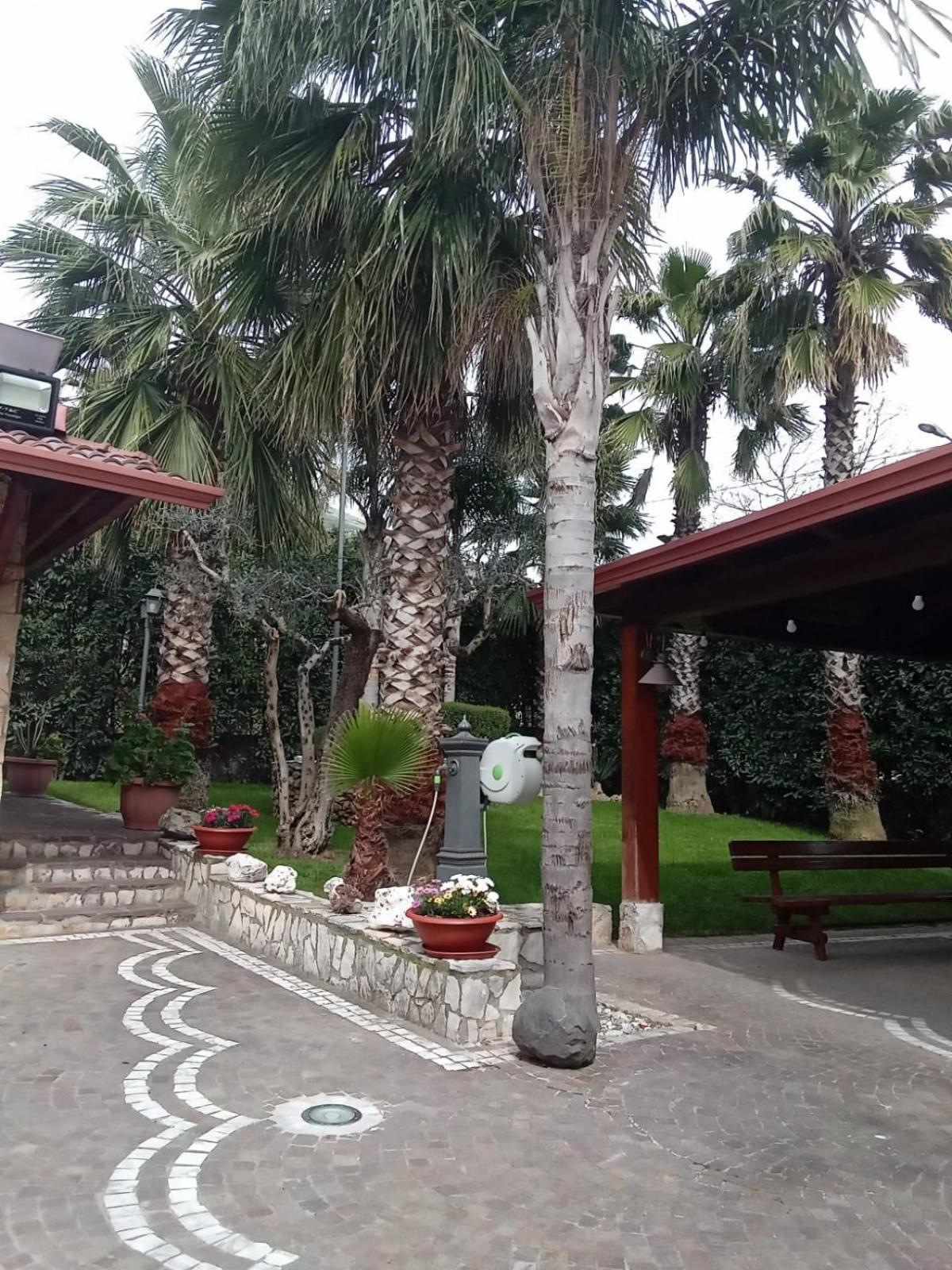 Villa Agata Forchia Ngoại thất bức ảnh